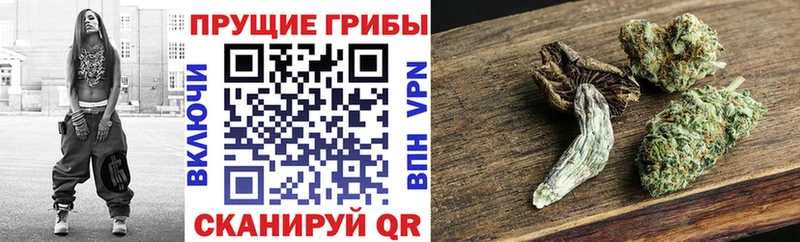 mega маркетплейс  где купить наркоту  Дудинка  Псилоцибиновые грибы мухоморы 